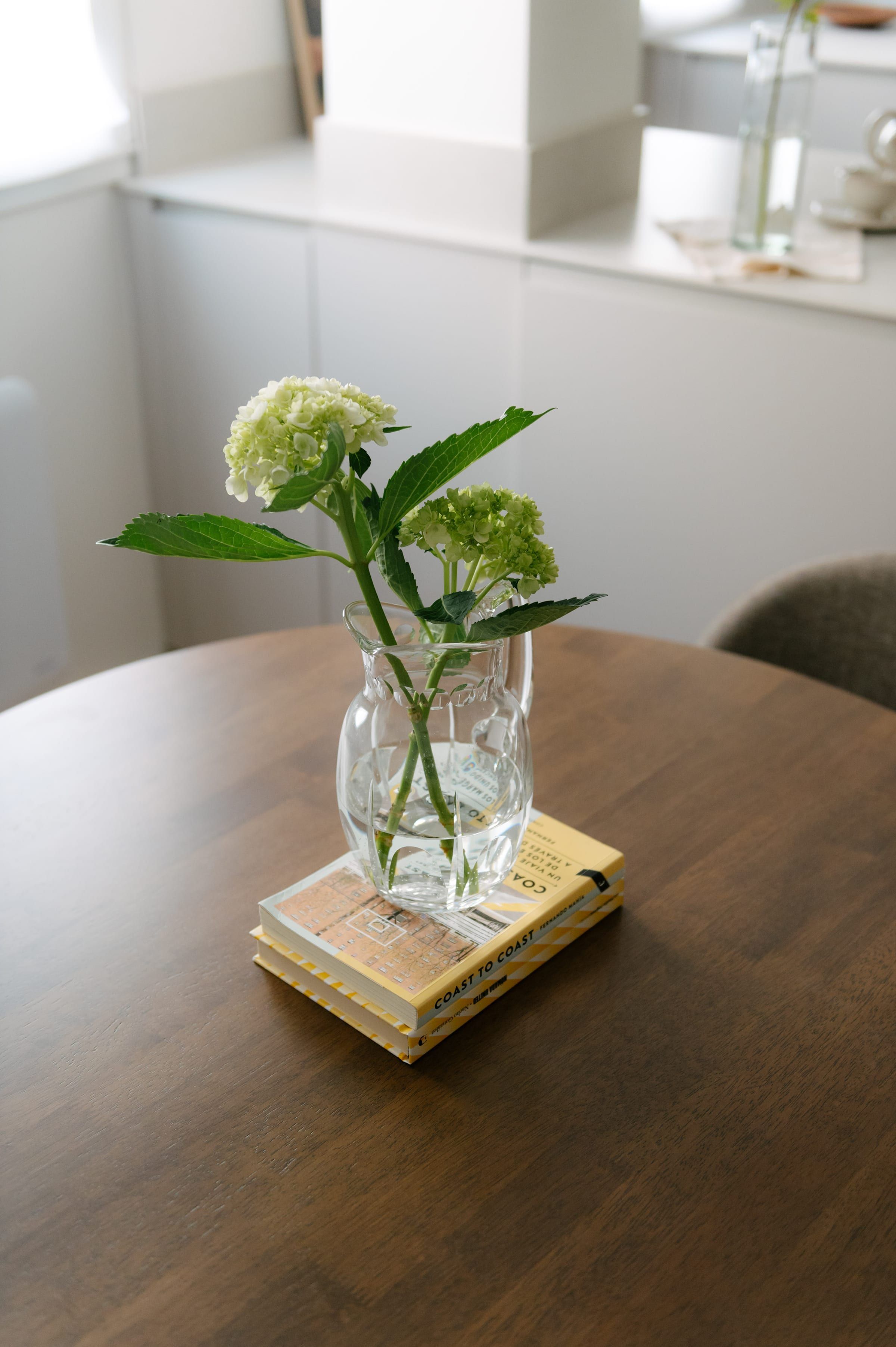 Detalle de zona comedor — Proyecto A15